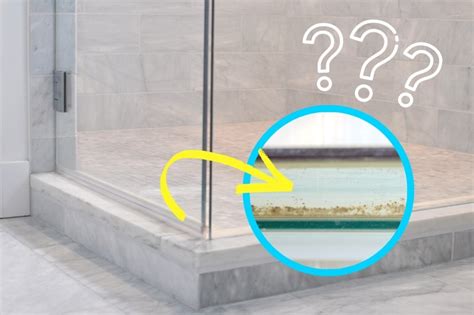 how to pu ta shower door on a plastic shower